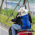 NomadNest™ — Mochila Premium de Aventura para Pets