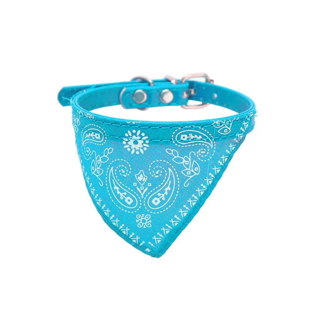 Pawdana™ - Bandana Premium Estilo Urbano para Gatos