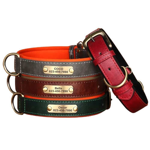 Coleira FURVIA Legacy™