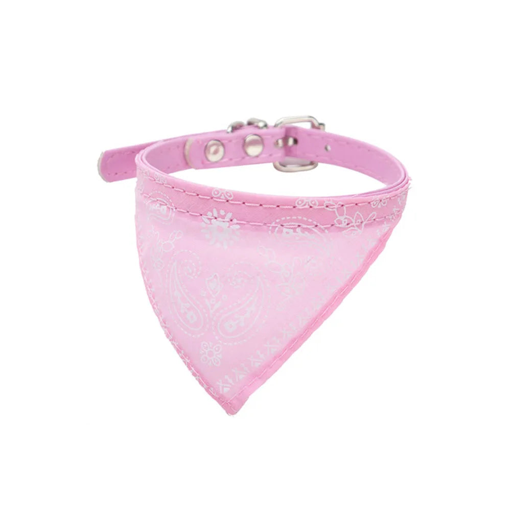 Pawdana™ - Bandana Premium Estilo Urbano para Gatos