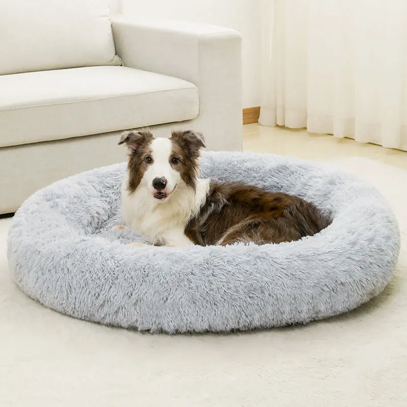 Cama Furvia™ SoftHaven