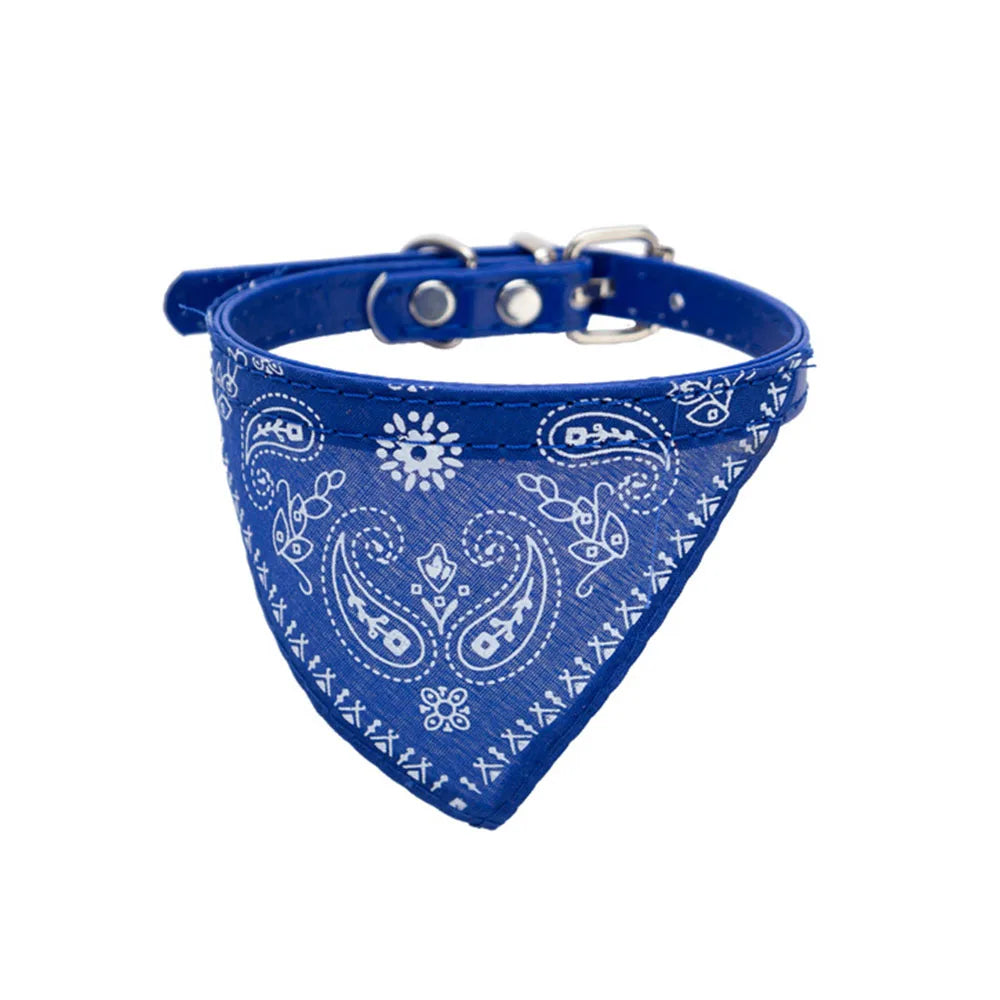 Pawdana™ - Bandana Premium Estilo Urbano para Gatos
