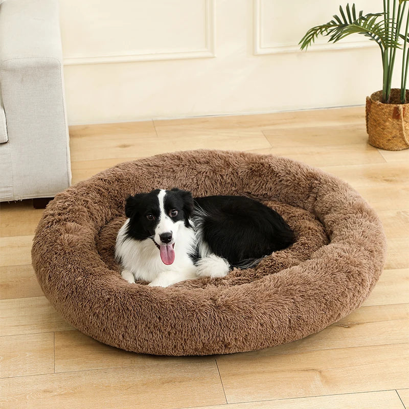 Cama Furvia™ SoftHaven