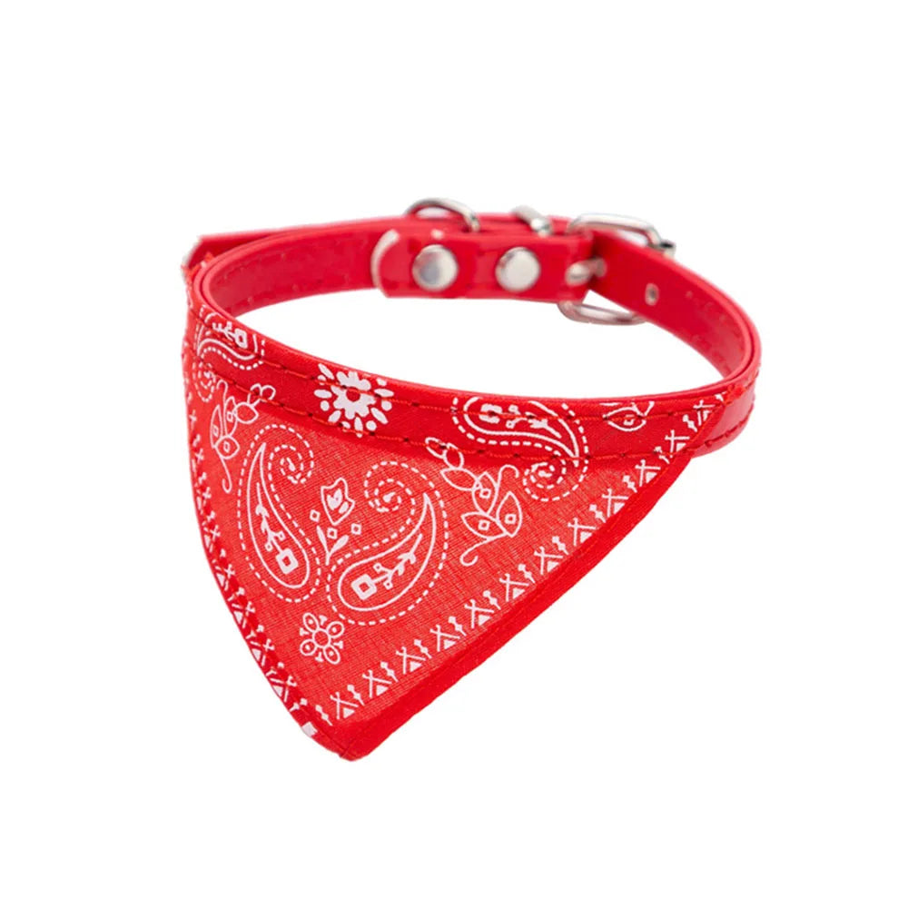 Pawdana™ - Bandana Premium Estilo Urbano para Gatos