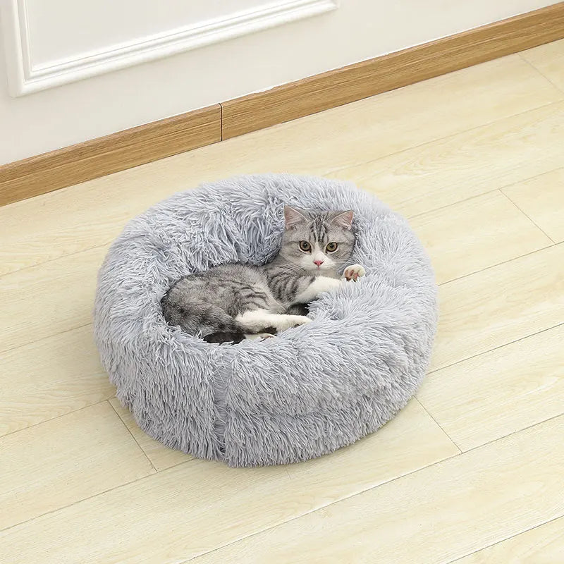 Cama Furvia™ SoftHaven