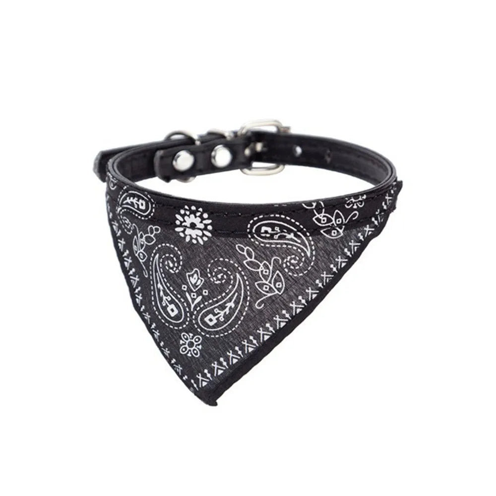 Pawdana™ - Bandana Premium Estilo Urbano para Gatos