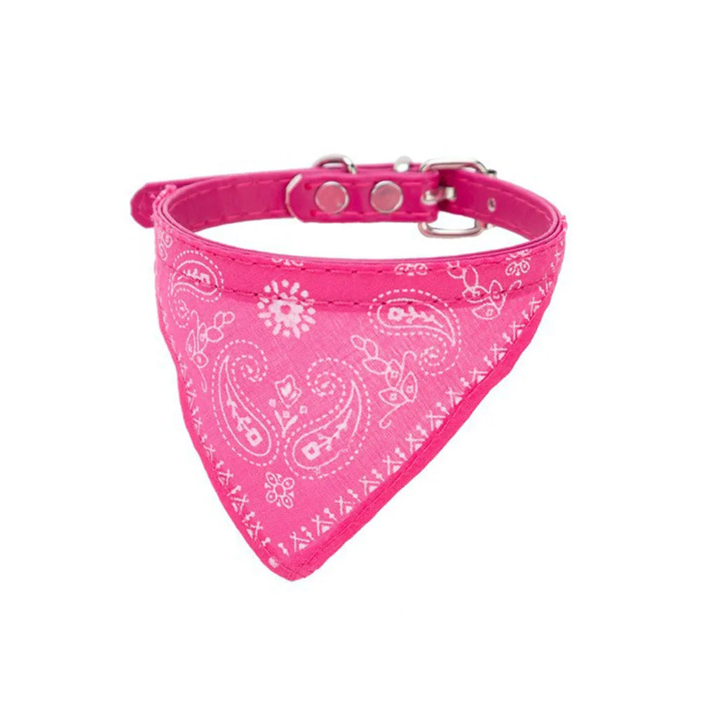 Pawdana™ - Bandana Premium Estilo Urbano para Gatos