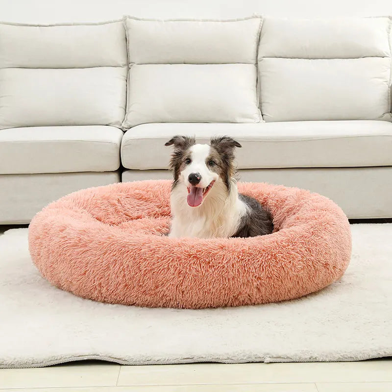 Cama Furvia™ SoftHaven