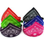 Pawdana™ - Bandana Premium Estilo Urbano para Gatos