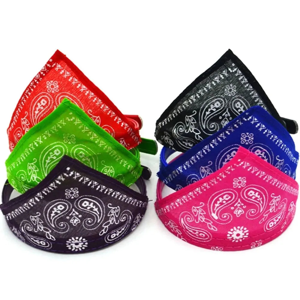 Pawdana™ - Bandana Premium Estilo Urbano para Gatos