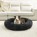 Cama Furvia™ SoftHaven