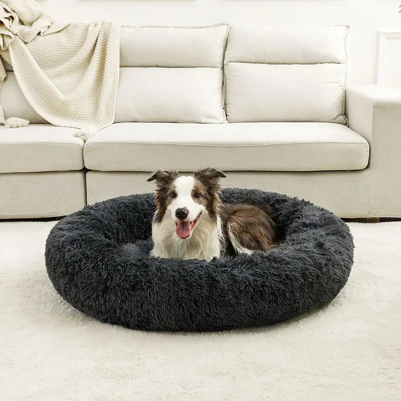 Cama Furvia™ SoftHaven