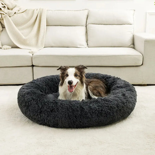 Cama Furvia™ SoftHaven