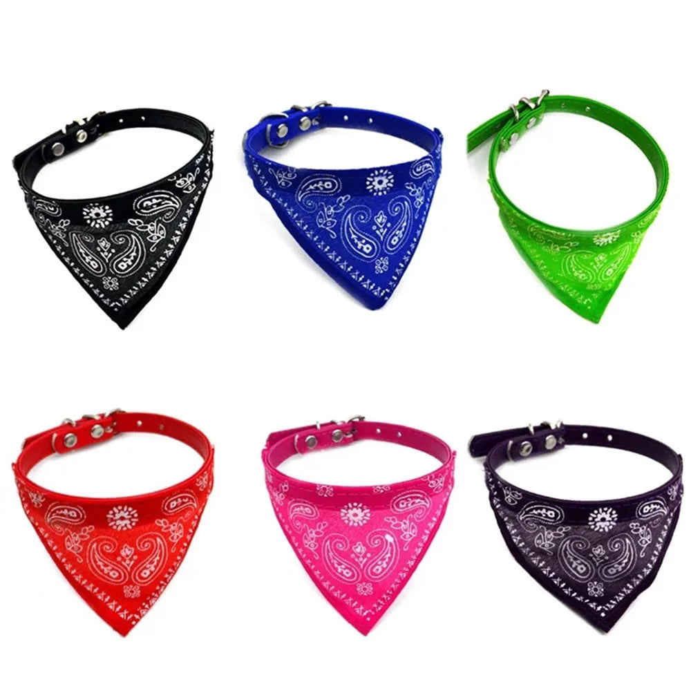 Pawdana™ - Bandana Premium Estilo Urbano para Gatos