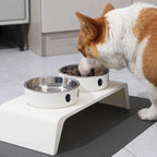 LunaBowl™ Duo - Comedouro Elevado Premium para Gatos & Cachorros