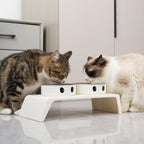LunaBowl™ Duo - Comedouro Elevado Premium para Gatos & Cachorros