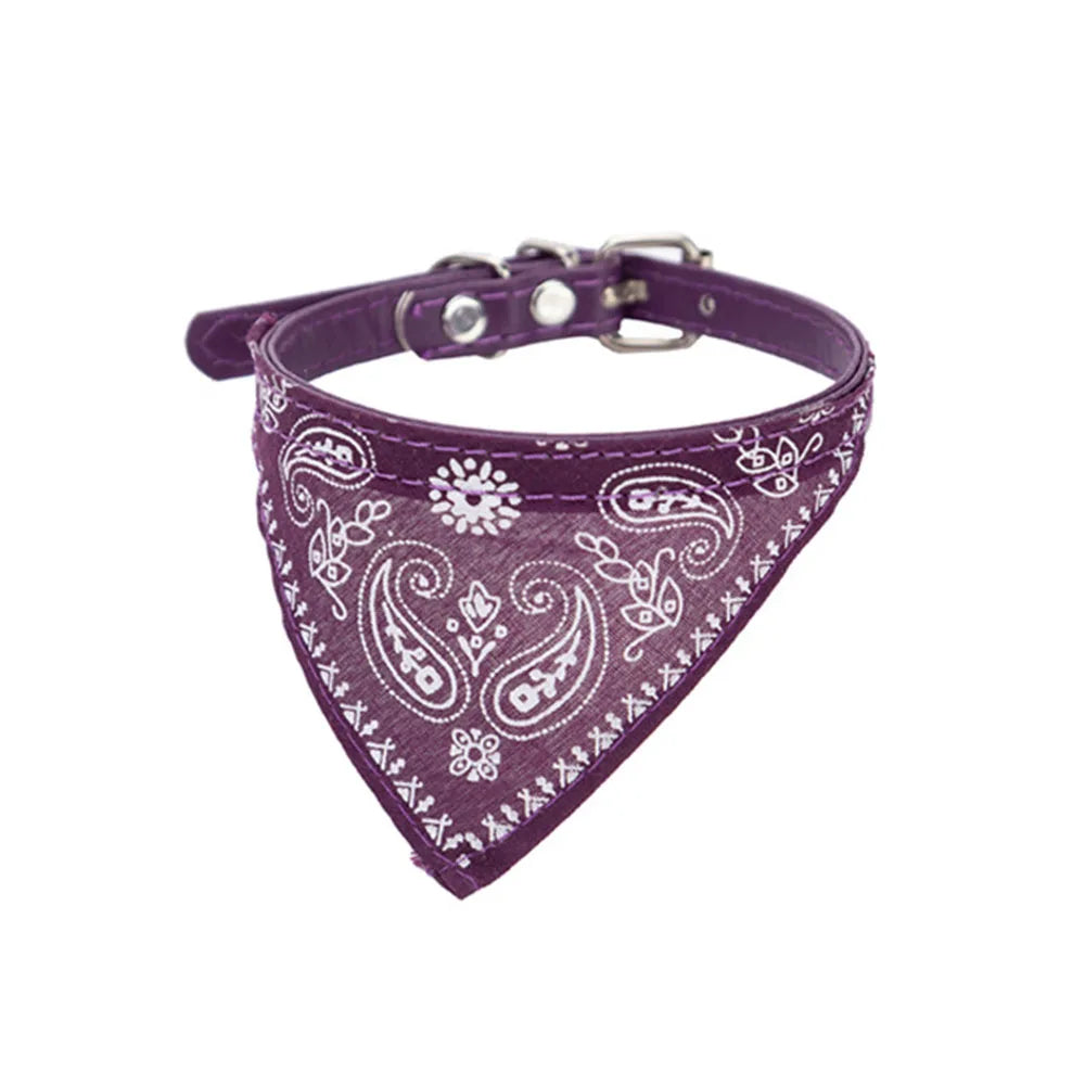 Pawdana™ - Bandana Premium Estilo Urbano para Gatos