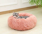 Cama Furvia™ SoftHaven