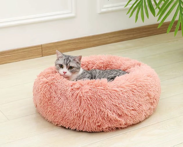 Cama Furvia™ SoftHaven