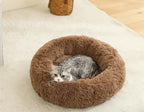 Cama Furvia™ SoftHaven